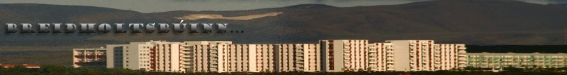 Breiðholtsbúinn... - Hausmynd